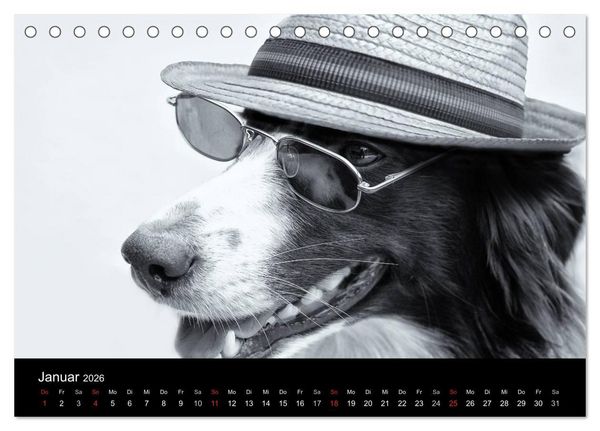 Produktbild: H&uuml;tehunde (Tischkalender 2026 DIN A5 quer), CALVENDO Monatskalender