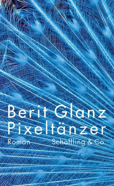 Produktbild: Pixelt&auml;nzer