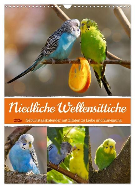Produktbild: Niedliche Wellensittiche (Wandkalender 2026 DIN A3 hoch), CALVENDO Monatskalender