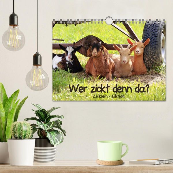 Produktbild: Wer zickt denn da? - Zicklein-Edition (Wandkalender 2026 DIN A4 quer), CALVENDO Monatskalender