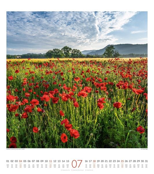 Produktbild: Lichtblicke Kalender 2027
