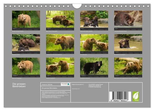 Produktbild: Die grossen B&auml;rentatzen (Wandkalender 2026 DIN A4 quer), CALVENDO Monatskalender