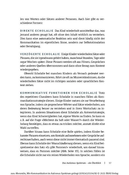 Produktbild: Wie Kommunikation im Autismus-Spektrum gelingt