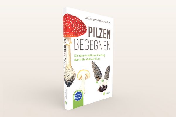 Produktbild: Pilzen begegnen