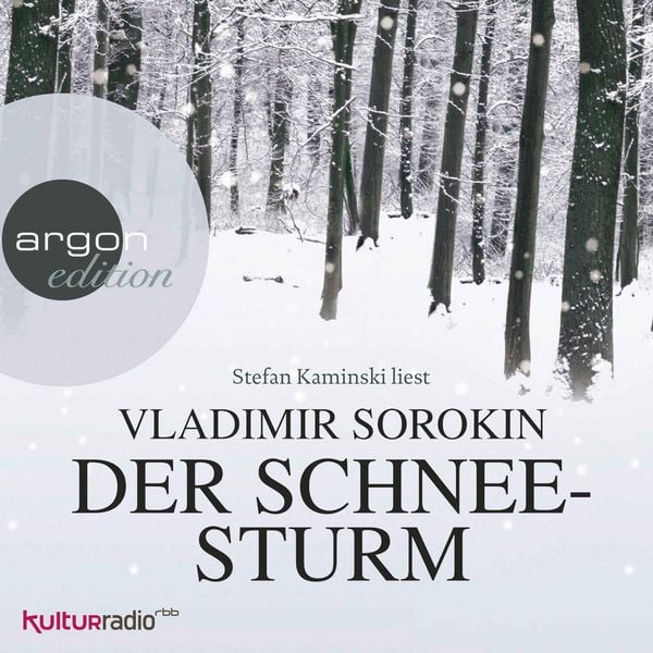 Produktbild: Der Schneesturm