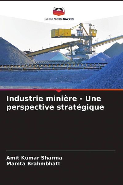 Produktbild: Industrie mini&egrave;re - Une perspective strat&eacute;gique