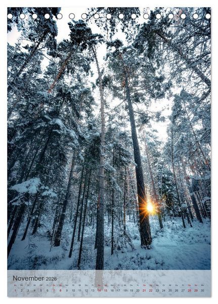 Produktbild: Winter Spaziergang (Tischkalender 2026 DIN A5 hoch), CALVENDO Monatskalender