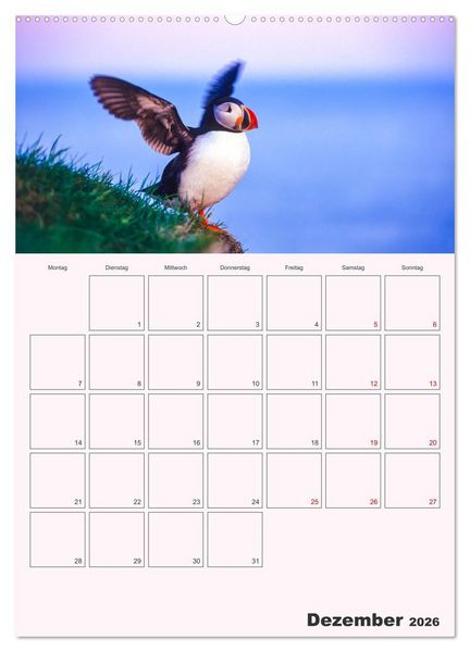 Produktbild: Papageitaucher Monatsplaner (hochwertiger Premium Wandkalender 2026 DIN A2 hoch), Kunstdruck in Hochglanz