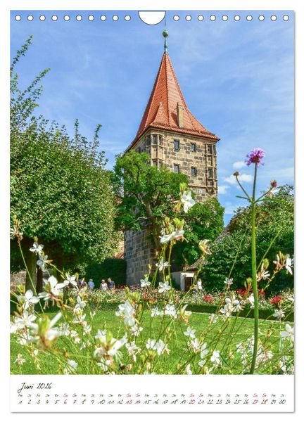Produktbild: N&uuml;rnberg Ab in die Natur (Wandkalender 2026 DIN A4 hoch), CALVENDO Monatskalender