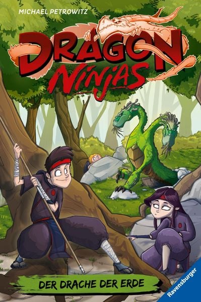 Produktbild: Dragon Ninjas, Band 4 - Der Drache der Erde