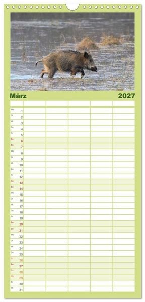 Produktbild: Familienplaner 2027 - Wildschweine &ndash; Wildlife Fotografien mit 5 Spalten (Wandkalender, 21 x 45 cm) CALVENDO