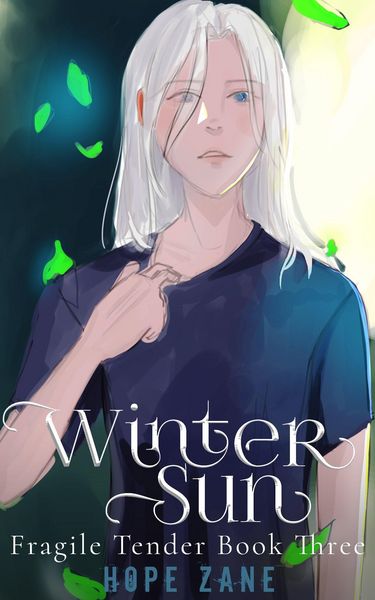 Produktbild: Winter Sun (Fragile Tender, #3)