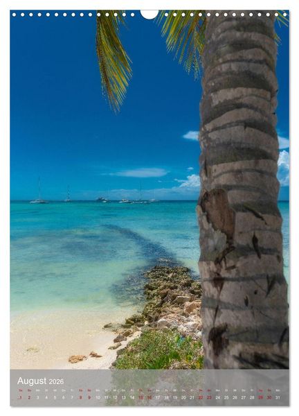 Produktbild: Karibischer Traum Isla Saona (Wandkalender 2026 DIN A3 hoch), CALVENDO Monatskalender