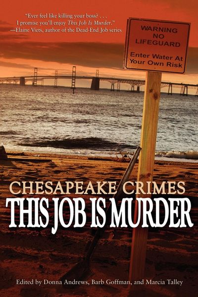 Produktbild: Chesapeake Crimes