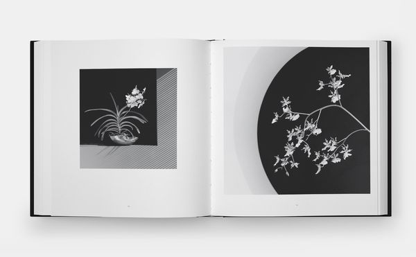 Produktbild: Mapplethorpe Flora: The Complete Flowers (2024)