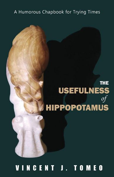 Produktbild: The Usefulness of Hippopotamus