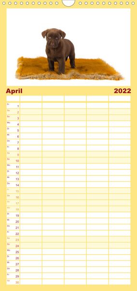 Produktbild: Familienplaner Labrador - Welpen (Wandkalender 2022 , 21 cm x 45 cm, hoch)