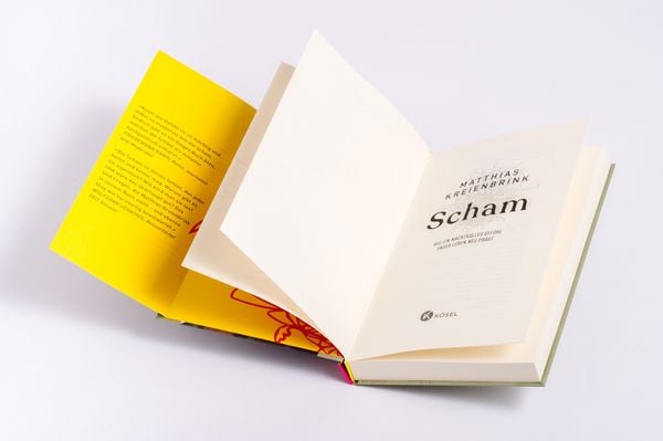 Produktbild: Scham
