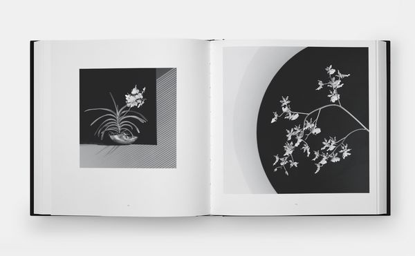 Produktbild: Mapplethorpe Flora: The Complete Flowers (2024)