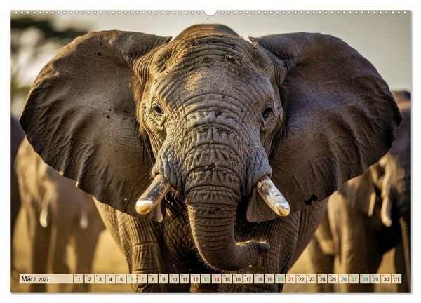 Produktbild: Gro&szlig;e und kleine Elefanten (hochwertiger Premium Wandkalender 2027 DIN A2 quer), Kunstdruck in Hochglanz