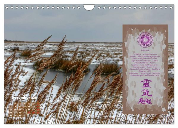 Produktbild: REIKI - Chakrameditation (Wandkalender 2026 DIN A4 quer), CALVENDO Monatskalender