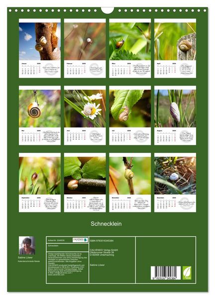 Produktbild: Schnecklein (Wandkalender 2026 DIN A3 hoch), CALVENDO Monatskalender