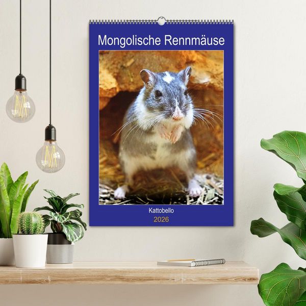 Produktbild: Mongolische Rennm&auml;use (Wandkalender 2026 DIN A2 hoch), CALVENDO Monatskalender