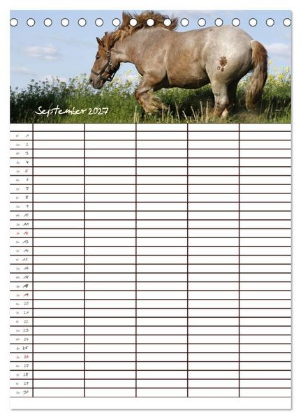 Produktbild: Der Kaltblut-Familienplaner (Tischkalender 2027 DIN A5 hoch), CALVENDO Monatskalender