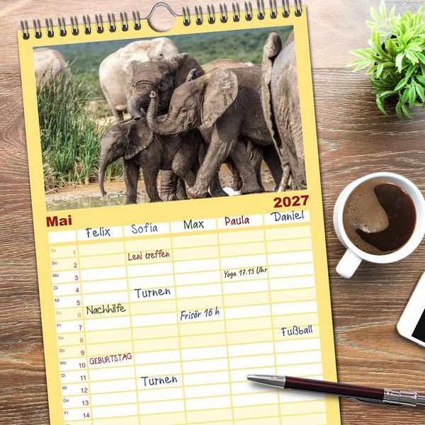Produktbild: Familienplaner 2027 - Afrikas Tierwelt: Elefantenbabys mit 5 Spalten (Wandkalender, 21 x 45 cm) CALVENDO