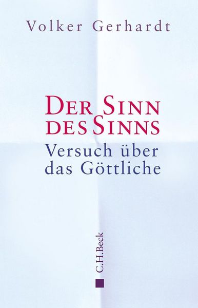 Produktbild: Der Sinn des Sinns