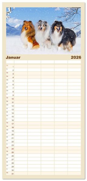 Produktbild: Familienplaner 2026 - Britische H&uuml;tehunde - Treue Freunde auf vier Pfoten mit 5 Spalten (Wandkalender, 21 x 45 cm) CALVENDO