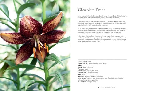 Produktbild: Lilies