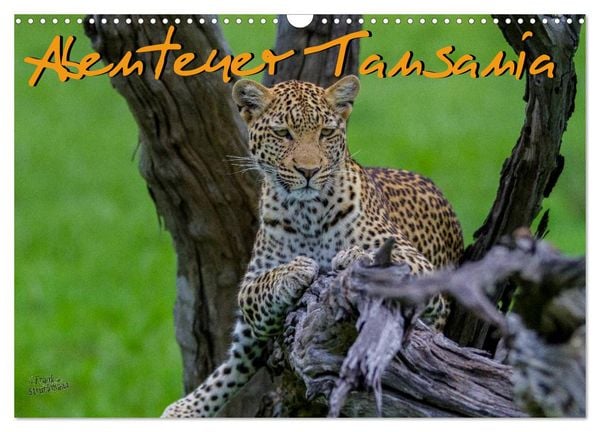 Produktbild: Abenteuer Tansania, Afrika (Wandkalender 2026 DIN A3 quer), CALVENDO Monatskalender