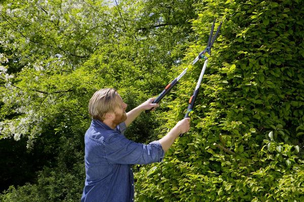 Produktbild: GARDENA Hand Heckenschere