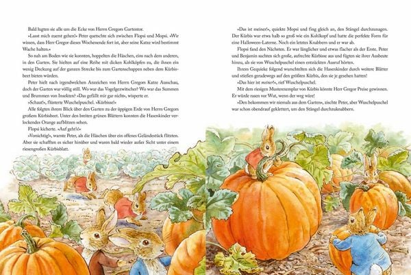 Produktbild: Die Welt von Peter Hase Allen eine gute Nacht