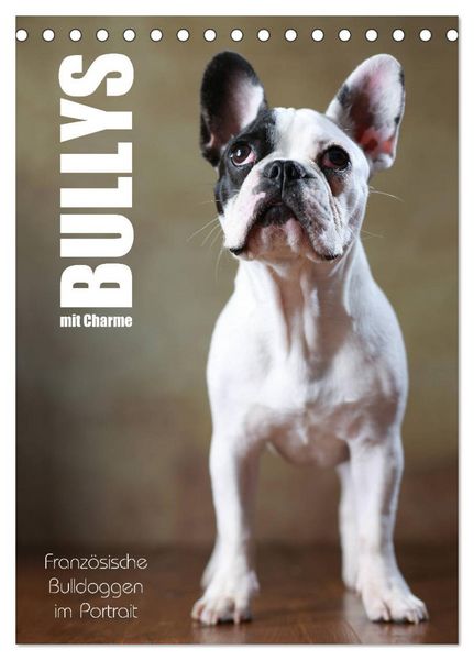Bullys mit Charme - Französische Bulldoggen im Portrait (Tischkalender 2026 DIN A5 hoch), CALVENDO Monatskalender