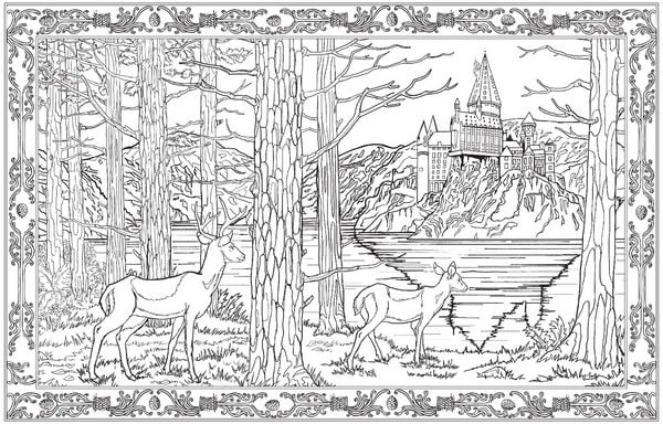 Produktbild: Harry Potter: Magisches Malbuch