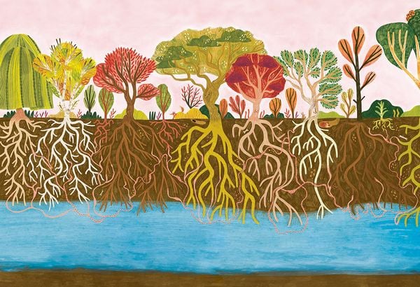 Produktbild: Der kleine Baum und das Wood Wide Web