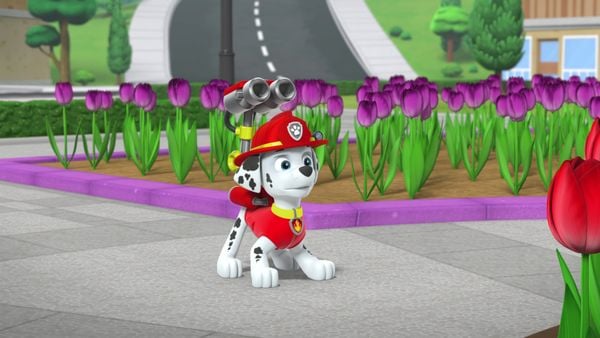 Produktbild: Paw Patrol - Ostern auf vier Pfoten