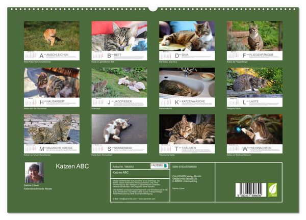 Produktbild: Katzen ABC (hochwertiger Premium Wandkalender 2026 DIN A2 quer), Kunstdruck in Hochglanz