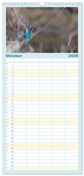 Produktbild: Familienplaner 2026 - Eisvogel im Portr&auml;t mit 5 Spalten (Wandkalender, 21 x 45 cm) CALVENDO