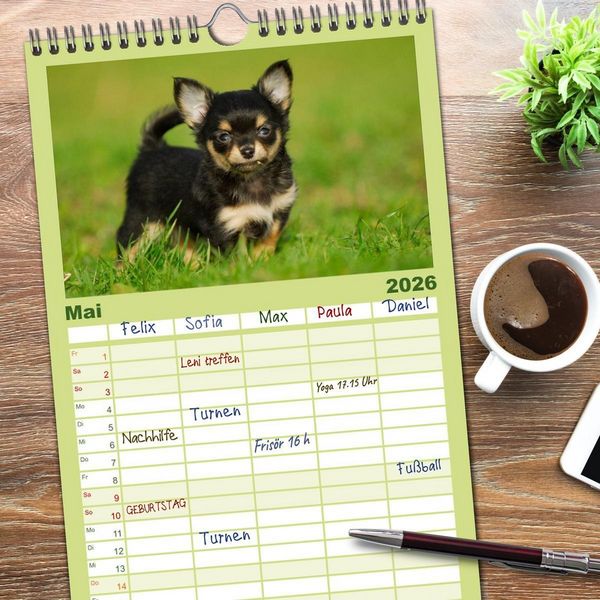 Produktbild: Familienplaner 2026 - Chihuahua - Kleine Hunde ganz gro&szlig; mit 5 Spalten (Wandkalender, 21 x 45 cm) CALVENDO