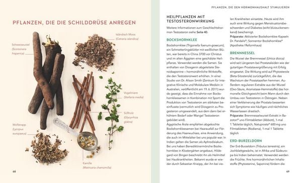 Produktbild: Hormone nat&uuml;rlich regulieren