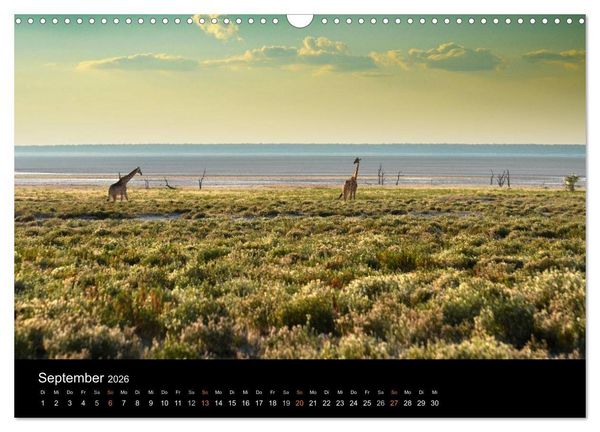 Produktbild: Namibia: Ein Traum von sanftem Licht und unendlicher Weite (Wandkalender 2026 DIN A3 quer), CALVENDO Monatskalender