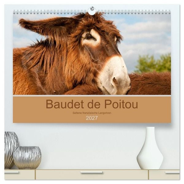 Produktbild: Baudet de Poitou - Seltene franz&ouml;sische Langohren (hochwertiger Premium Wandkalender 2027 DIN A2 quer), Kunstdruck in Hochglanz