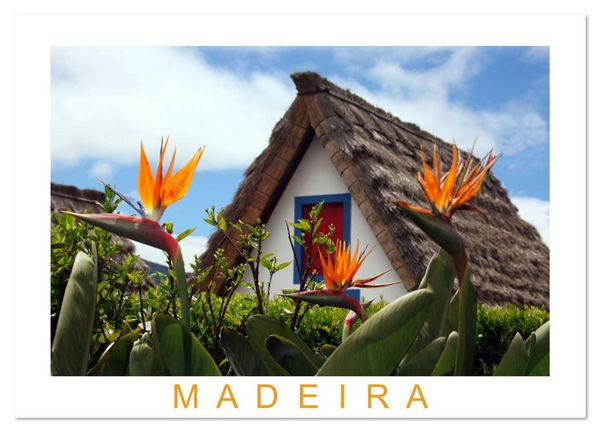 Produktbild: Madeira (Wandkalender 2026 DIN A3 quer), CALVENDO Monatskalender