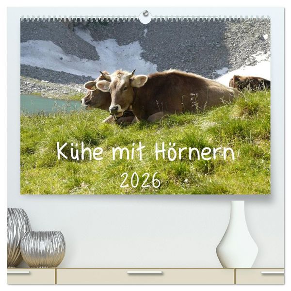 Kühe mit Hörnern (hochwertiger Premium Wandkalender 2026 DIN A2 quer), Kunstdruck in Hochglanz