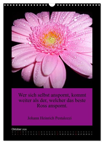 Produktbild: Lebensweisheiten mit Blumigen Gr&uuml;&szlig;en (Wandkalender 2026 DIN A3 hoch), CALVENDO Monatskalender