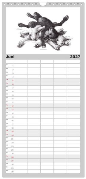 Produktbild: Familienplaner 2027 - TIERONISCH mit 5 Spalten (Wandkalender, 21 x 45 cm) CALVENDO