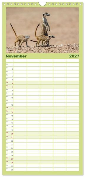 Produktbild: Familienplaner 2027 - Afrikas Tierwelt - Erdm&auml;nnchen mit 5 Spalten (Wandkalender, 21 x 45 cm) CALVENDO